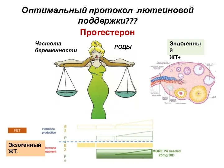 Оптимальный протокол лютеиновой поддержки??? Прогестерон Экзогенный ЖТ- Эндогенный ЖТ+ Частота беременности РОДЫ