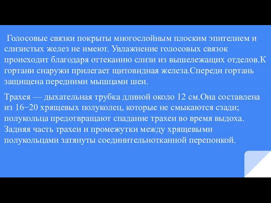 Голосовые связки покрыты многослойным плоским эпителием и слизистых желез не имеют. Увлажнение