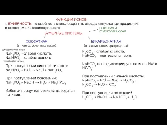 ФУНКЦИИ ИОНОВ 1. БУФЕРНОСТЬ – способность клетки сохранять определенную концентрацию pH. В