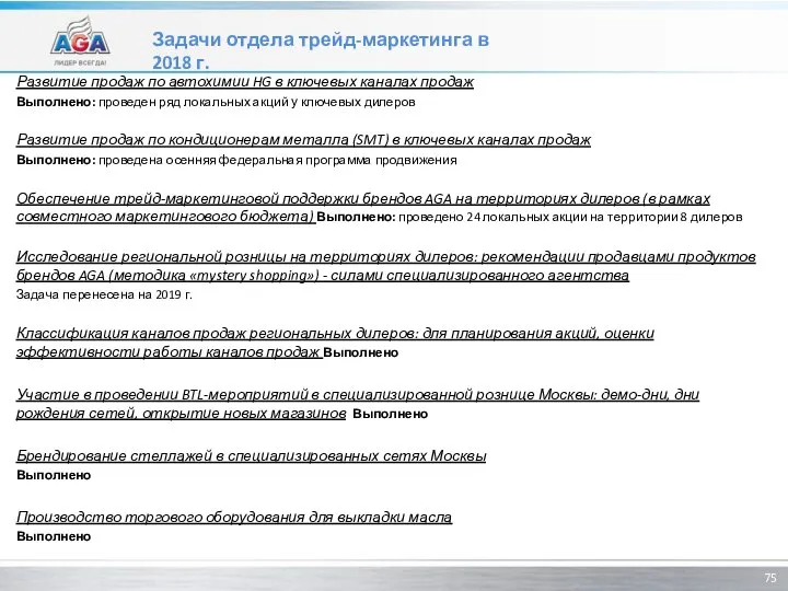 Задачи отдела трейд-маркетинга в 2018 г. Развитие продаж по автохимии HG в