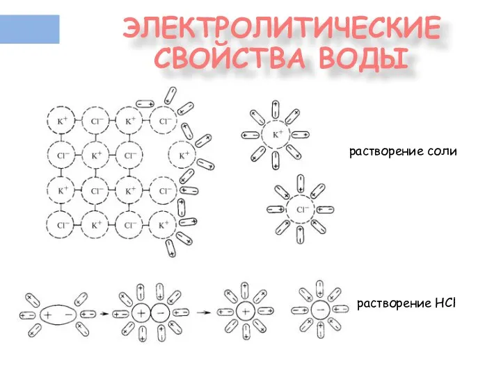 ЭЛЕКТРОЛИТИЧЕСКИЕ СВОЙСТВА ВОДЫ растворение соли растворение HCl