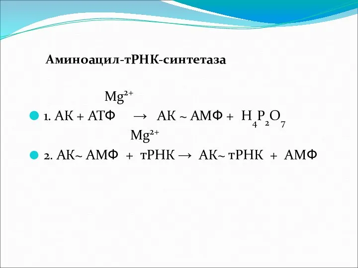 Аминоацил-тРНК-синтетаза Mg2+ 1. АК + АТФ → АК ~ АМФ + Н4Р2О7