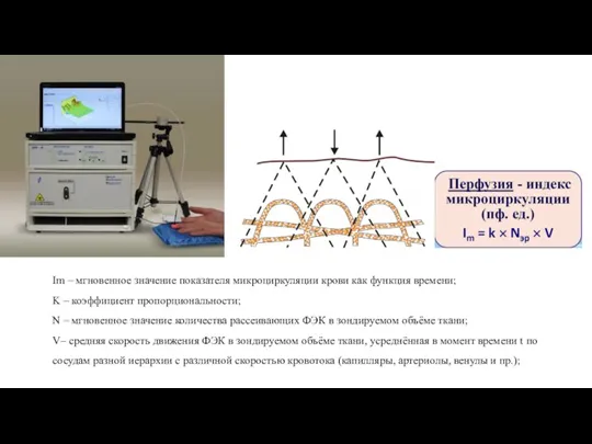 Im – мгновенное значение показателя микроциркуляции крови как функция времени; K –