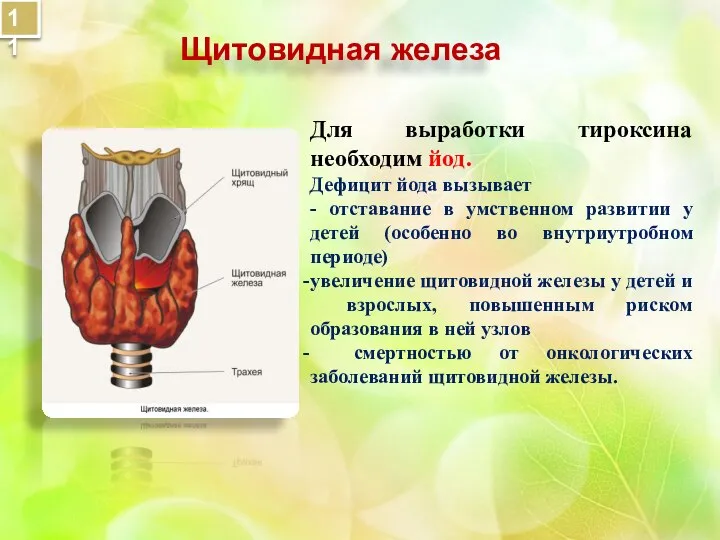 Для выработки тироксина необходим йод. Дефицит йода вызывает - отставание в умственном