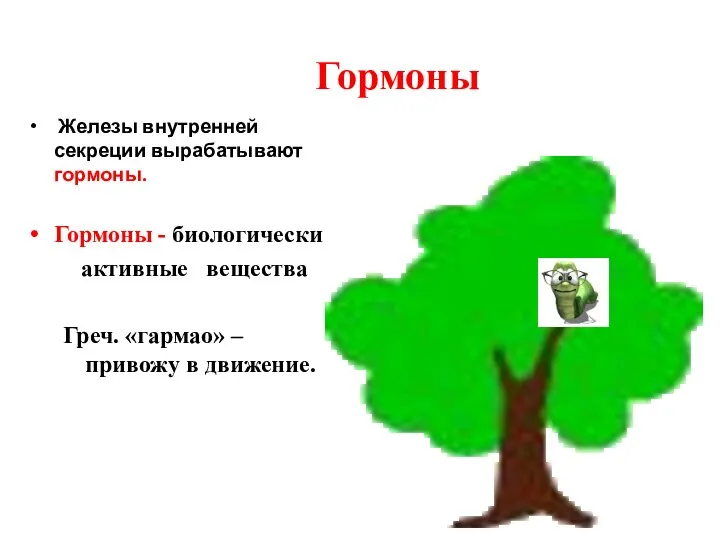 Гормоны Железы внутренней секреции вырабатывают гормоны. Гормоны - биологически активные вещества Греч.