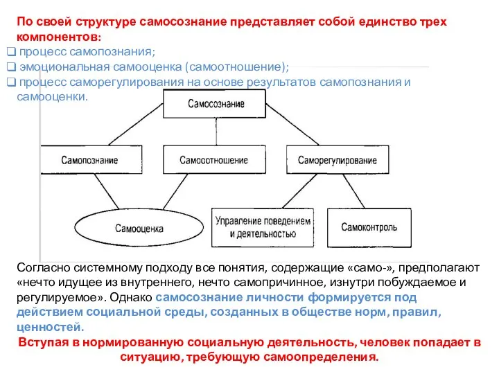 Согласно системному подходу все понятия, содержащие «само-», предполагают «нечто идущее из внутреннего,