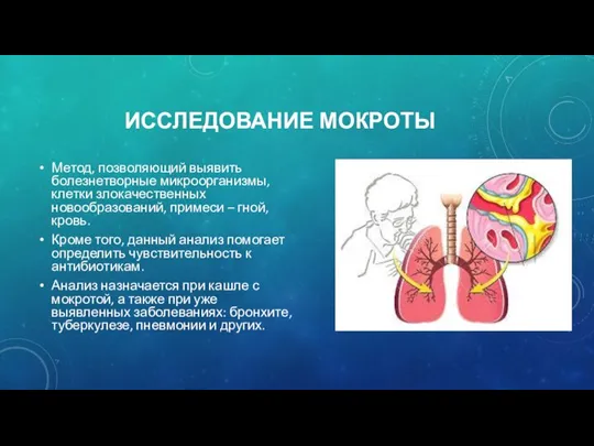 ИССЛЕДОВАНИЕ МОКРОТЫ Метод, позволяющий выявить болезнетворные микроорганизмы, клетки злокачественных новообразований, примеси –