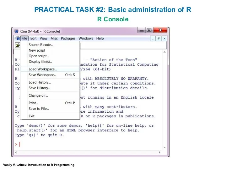 R Console Vasily V. Grinev. Introduction to R Programming PRACTICAL TASK #2: Basic administration of R