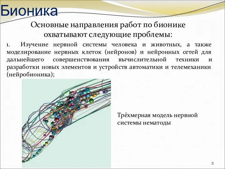 Основные направления работ по бионике охватывают следующие проблемы: 1. Изучение нервной системы