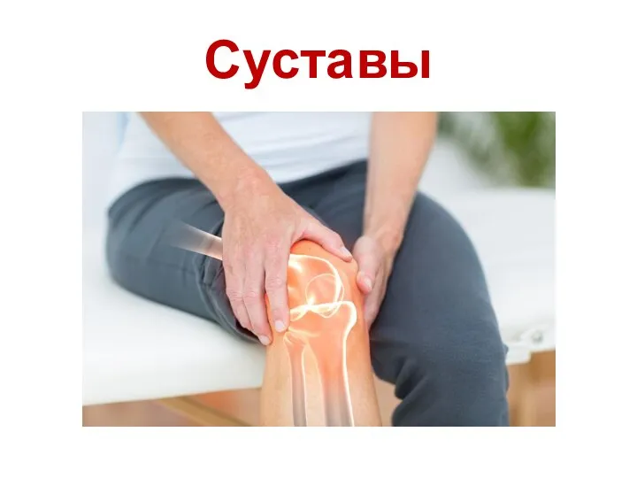 Суставы