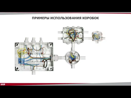 ПРИМЕРЫ ИСПОЛЬЗОВАНИЯ КОРОБОК