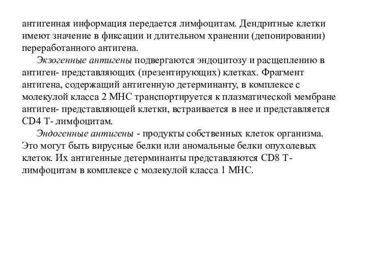 антигенная информация передается лимфоцитам. Дендритные клетки имеют значение в фиксации и длительном