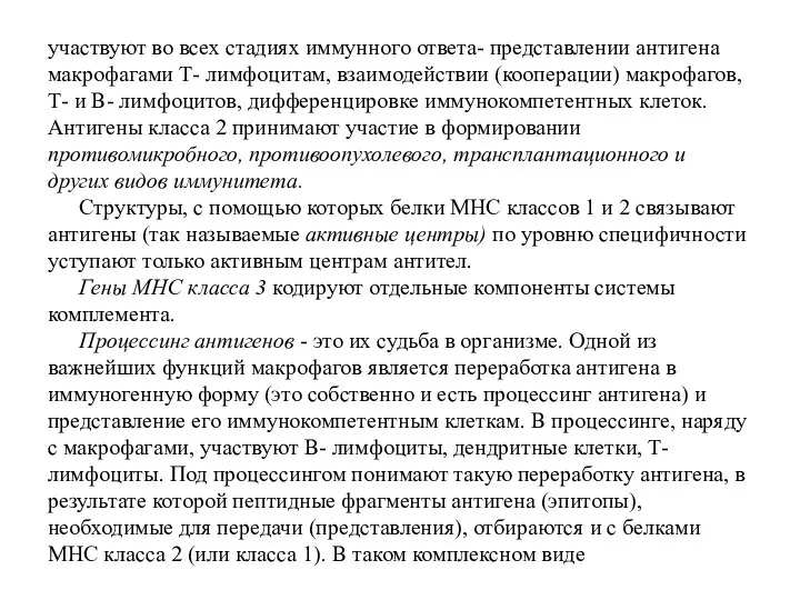 участвуют во всех стадиях иммунного ответа- представлении антигена макрофагами Т- лимфоцитам, взаимодействии