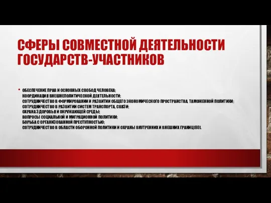 СФЕРЫ СОВМЕСТНОЙ ДЕЯТЕЛЬНОСТИ ГОСУДАРСТВ-УЧАСТНИКОВ ОБЕСПЕЧЕНИЕ ПРАВ И ОСНОВНЫХ СВОБОД ЧЕЛОВЕКА; КООРДИНАЦИЯ ВНЕШНЕПОЛИТИЧЕСКОЙ