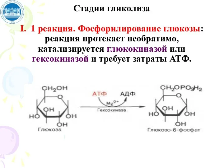 Стадии гликолиза I. 1 реакция. Фосфорилирование глюкозы: реакция протекает необратимо, катализируется глюкокиназой