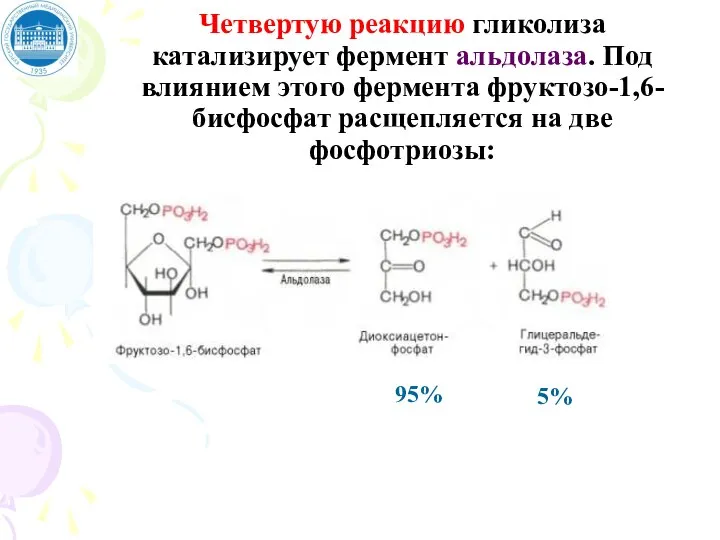 Четвертую реакцию гликолиза катализирует фермент альдолаза. Под влиянием этого фермента фруктозо-1,6-бисфосфат расщепляется