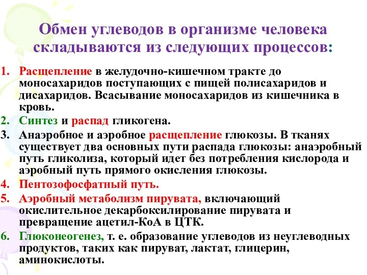 Обмен углеводов в организме человека складываются из следующих процессов: Расщепление в желудочно-кишечном