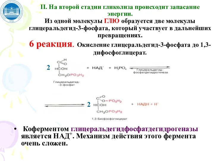 II. На второй стадии гликолиза происходит запасание энергии. Из одной молекулы ГЛЮ