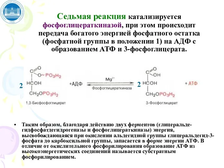 Седьмая реакция катализируется фосфоглицераткиназой, при этом происходит передача богатого энергией фосфатного остатка