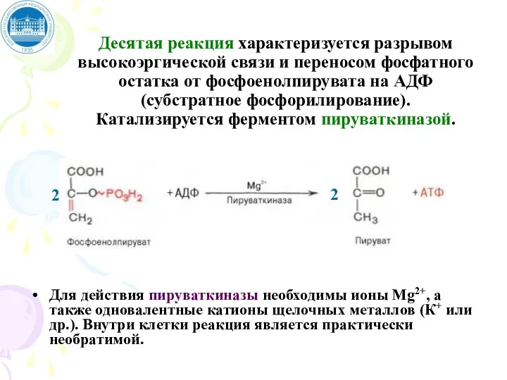 Десятая реакция характеризуется разрывом высокоэргической связи и переносом фосфатного остатка от фосфоенолпирувата