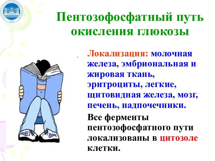 Пентозофосфатный путь окисления глюкозы Локализация: молочная железа, эмбриональная и жировая ткань, эритроциты,