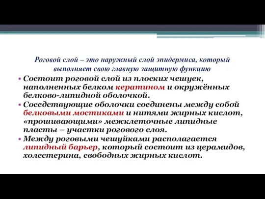 Роговой слой – это наружный слой эпидермиса, который выполняет свою главную защитную