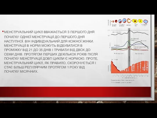 МЕНСТРУАЛЬНИЙ ЦИКЛ ВВАЖАЄТЬСЯ З ПЕРШОГО ДНЯ ПОЧАТКУ ОДНІЄЇ МЕНСТРУАЦІЇ ДО ПЕРШОГО ДНЯ