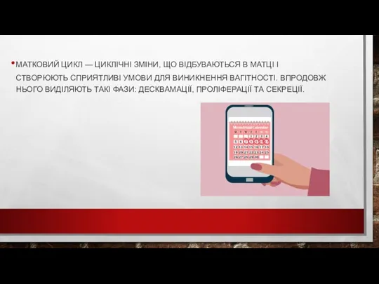 МАТКОВИЙ ЦИКЛ — ЦИКЛІЧНІ ЗМІНИ, ЩО ВІДБУВАЮТЬСЯ В МАТЦІ І СТВОРЮЮТЬ СПРИЯТЛИВІ