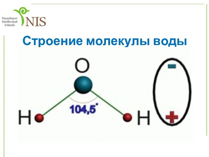 Строение молекулы воды