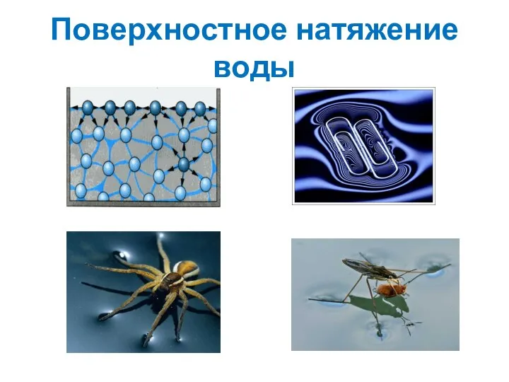 Поверхностное натяжение воды