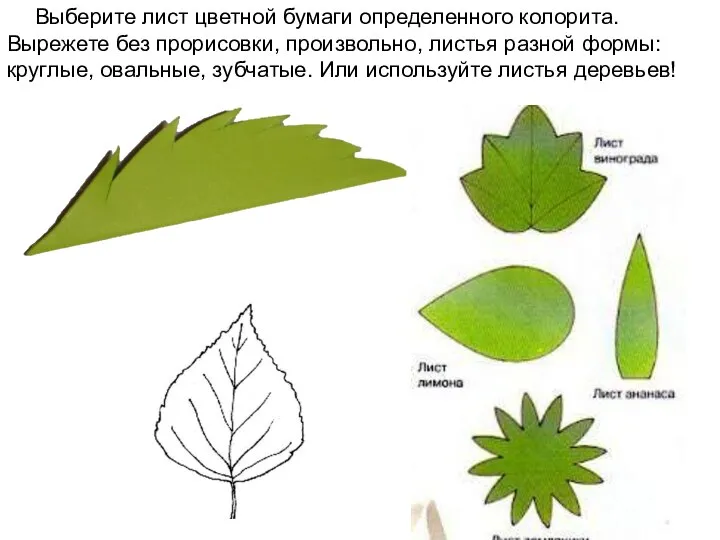 Выберите лист цветной бумаги определенного колорита. Вырежете без прорисовки, произвольно, листья разной