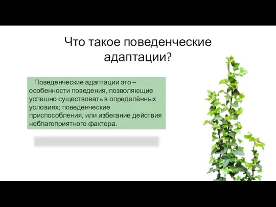 Что такое поведенческие адаптации? Поведенческие адаптации это – особенности поведения, позволяющие успешно