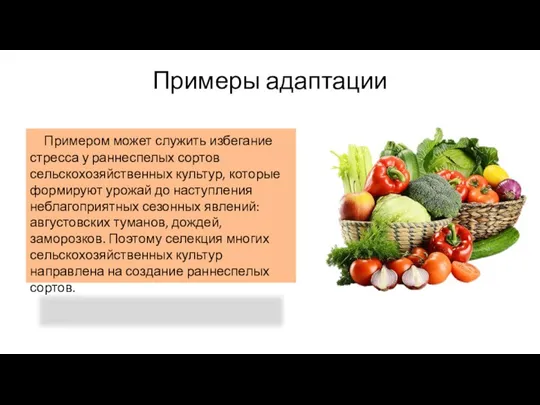 Примеры адаптации Примером может служить избегание стресса у раннеспелых сортов сельскохозяйственных культур,