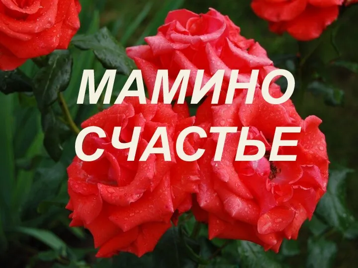 МАМИНО СЧАСТЬЕ