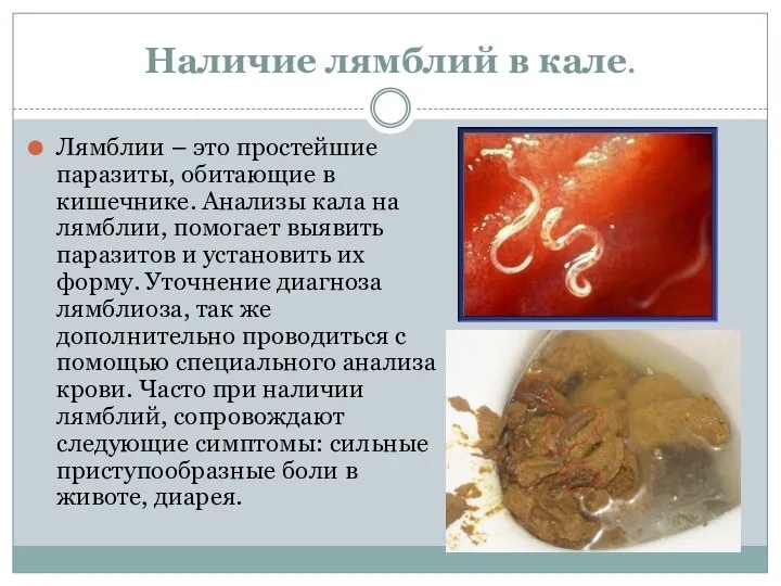 Наличие лямблий в кале. Лямблии – это простейшие паразиты, обитающие в кишечнике.