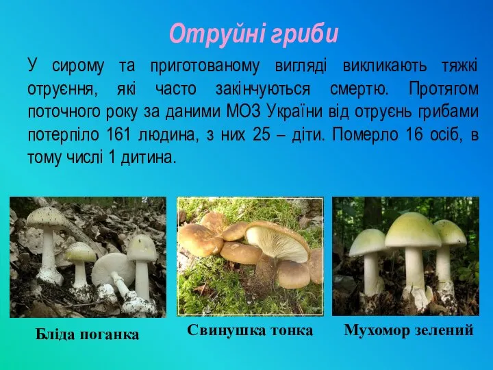 Отруйні гриби У сирому та приготованому вигляді викликають тяжкі отруєння, які часто