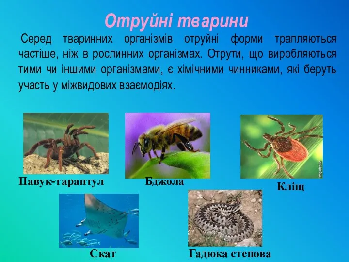 Серед тваринних організмів отруйні форми трапляються частіше, ніж в рослинних організмах. Отрути,