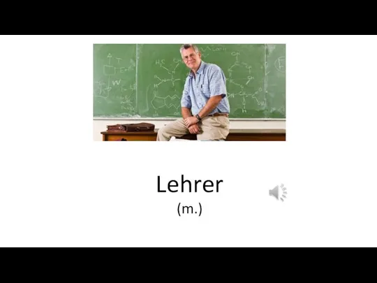 Lehrer (m.)