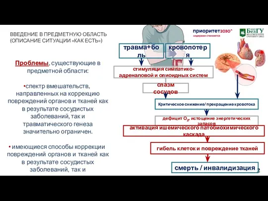 Проблемы, существующие в предметной области: спектр вмешательств, направленных на коррекцию повреждений органов