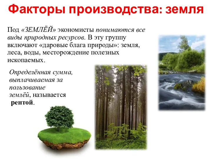 Факторы производства: земля Под «ЗЕМЛЁЙ» экономисты понимаются все виды природных ресурсов. В