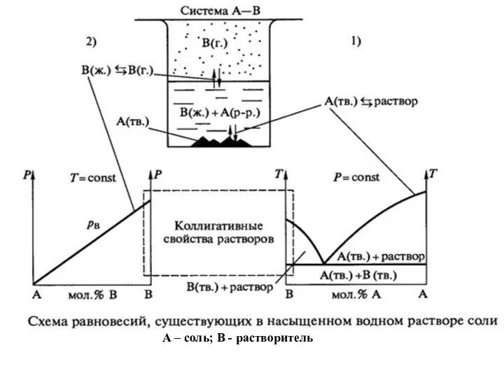 А – соль; В - растворитель