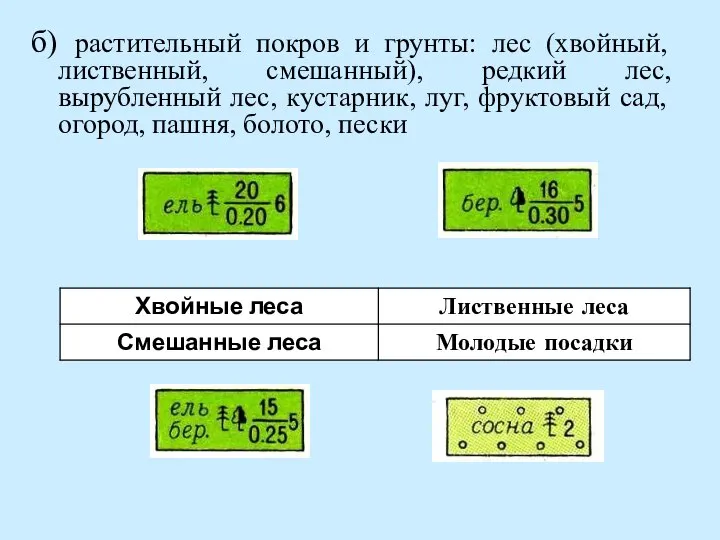 б) растительный покров и грунты: лес (хвойный, лиственный, смешанный), редкий лес, вырубленный