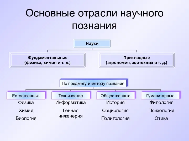 Основные отрасли научного познания Физика Химия Биология Информатика Генная инженерия История Социология Политология Филология Психология Этика