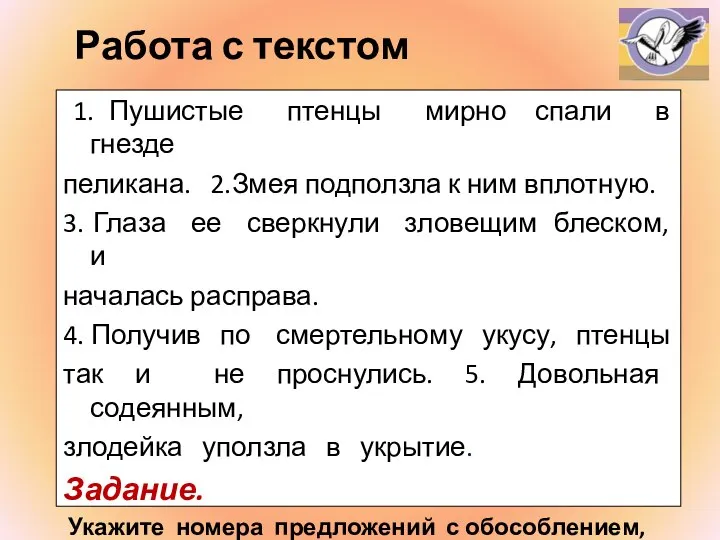 Работа с текстом 1. Пушистые птенцы мирно спали в гнезде пеликана. 2.Змея