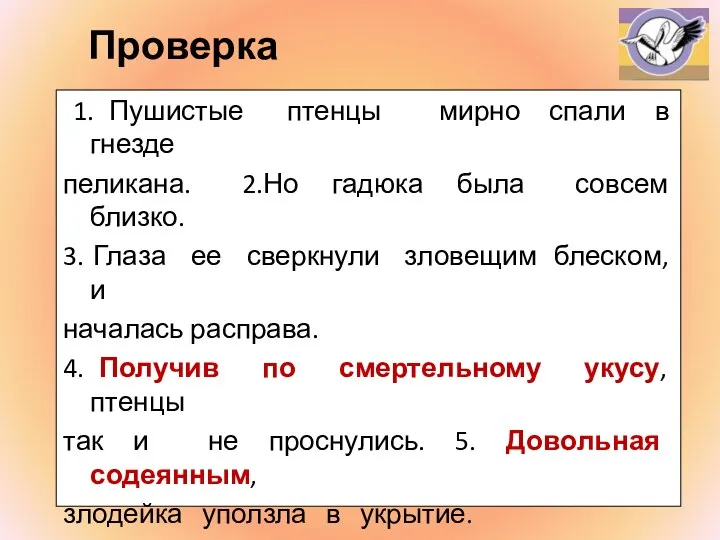 Проверка 1. Пушистые птенцы мирно спали в гнезде пеликана. 2.Но гадюка была