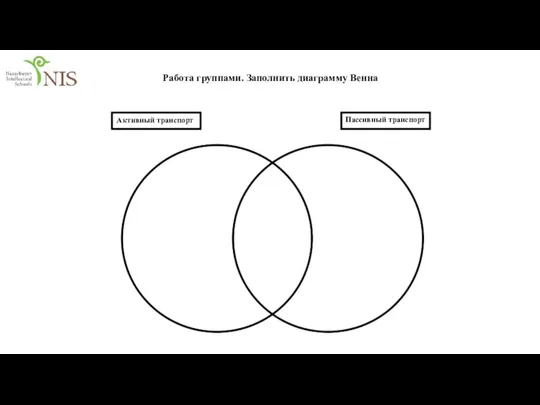 Работа группами. Заполнить диаграмму Венна Активный транспорт Пассивный транспорт