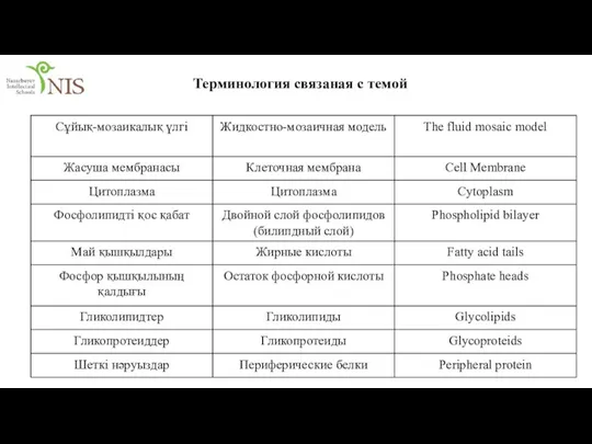 Терминология связаная с темой