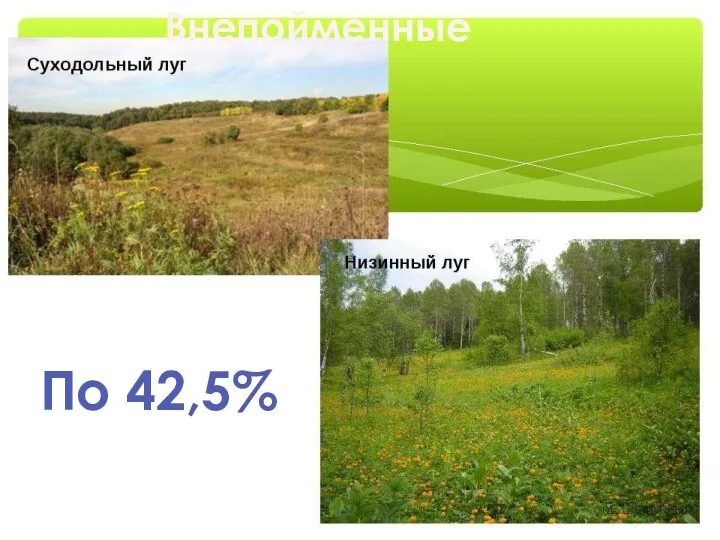 Внепойменные По 42,5%