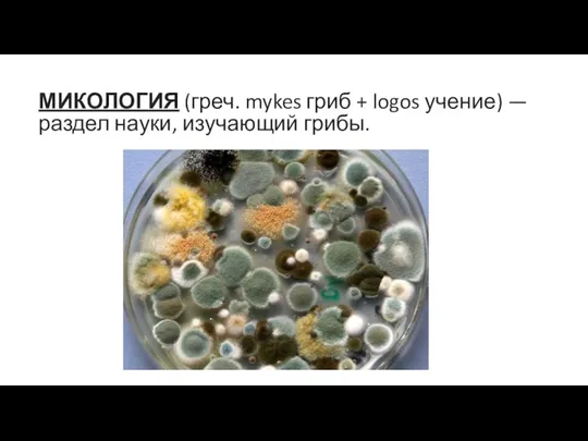 МИКОЛОГИЯ (греч. mykes гриб + logos учение) — раздел науки, изучающий грибы.