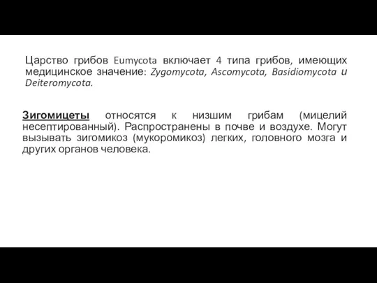 Царство грибов Eumycota включает 4 типа грибов, имеющих медицинское значение: Zygomycota, Ascomycota,